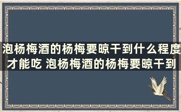 泡杨梅酒的杨梅要晾干到什么程度才能吃 泡杨梅酒的杨梅要晾干到什么程度呢